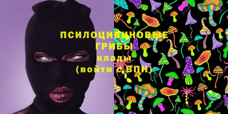 купить   blacksprut сайт  Галлюциногенные грибы Psilocybe  Уржум 